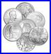 1oz_999_Fine_Silver_Rounds_Set_of_Five_Secondary_Market_Random_Design_Mint_01_ib