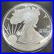 2021_Giant_American_Silver_Eagle_1_Troy_Pound_12_oz_999_Fine_Silver_Round_01_opg
