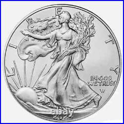 2024 1 oz American Silver Eagle Coin. 999 Fine (BU) Lot of 10 SHIPPING NOW