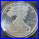 8_Troy_OZ_999_Fine_Silver_Round_Silver_Eagle_Design_1994_01_zgyp