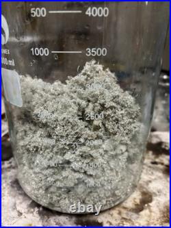 9999% Pure Fine Silver Crystal 31.1 Grams 1 Troy Ounce. Lab Grown