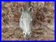 999_Fine_Silver_Horse_Head_01_gzp