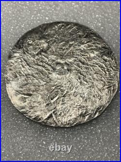 Awesome! Very Thin Wild Pig Pours 1 Troy Oz. 999 Fine Silver