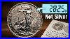 It_S_Not_Silver_The_Royal_Mint_S_Biggest_Error_Ever_01_hufg