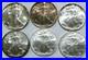 Lot_Of_6_Silver_Eagles_1987_1992_1995_1997_1998_x_2_6_Troy_Oz_999_Fine_Silver_01_vg