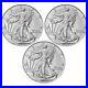 Lot_of_3_2024_American_Silver_Eagle_1_Coin_1_oz_999_Fine_Silver_BU_01_xi