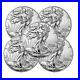 Lot_of_5_2023_American_1_oz_999_Fine_Silver_Eagle_1_Coin_BU_IN_STOCK_01_it