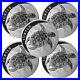 Lot_of_5_2024_5_Niue_Hawksbill_Turtle_2_Troy_oz_999_Fine_Silver_BU_01_qvtj