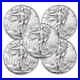 Lot_of_5_2024_American_1_oz_999_Fine_Silver_Eagle_1_Coin_BU_Free_Shipping_01_lgtx