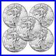 Lot_of_5_2024_American_Eagle_Coins_1_oz_999_Fine_Silver_BU_In_Stock_01_yyjl