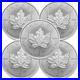 Lot_of_5_2026_1_oz_Canada_9999_Fine_Silver_Maple_Leaf_5_Coin_BU_01_uea