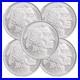 Lot_of_5_Buffalo_Indian_1_oz_999_Fine_Silver_Elemetal_Round_01_sc