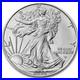 Roll_of_20_2025_1_oz_999_Fine_Silver_American_Eagle_1_Coin_BU_01_cqu