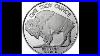 What_Are_999_Pure_One_Troy_Oz_Silver_Buffalo_Rounds_01_xc